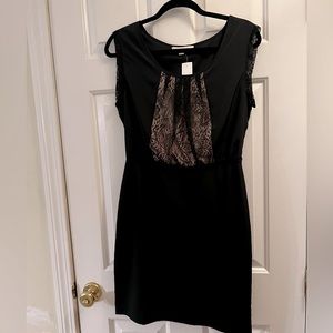 Loft Black Dress Size 2